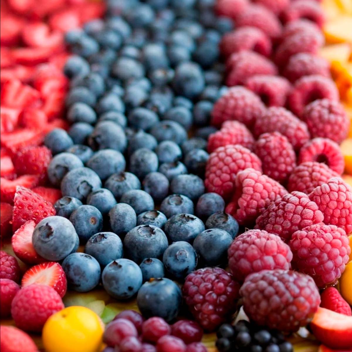 Frutos y congelados